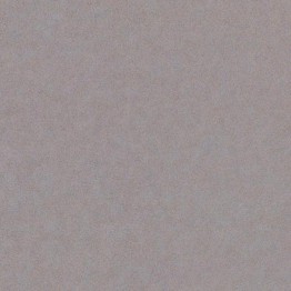 Gạch lát sàn Trường Thịnh COOLSTONE C6213